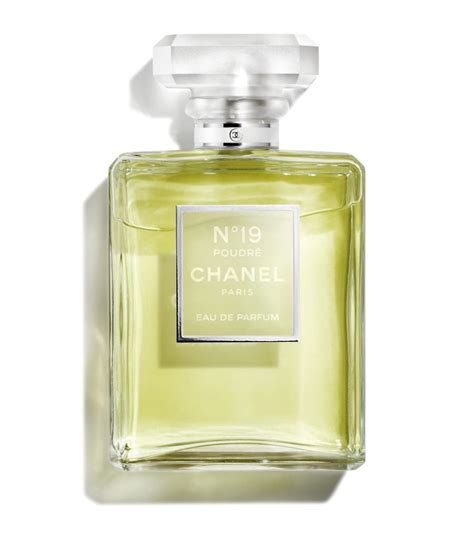 chanel no 19 poudre yorum|Chanel no 19 perfume price.